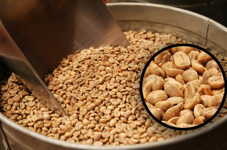 Raw coffee beans